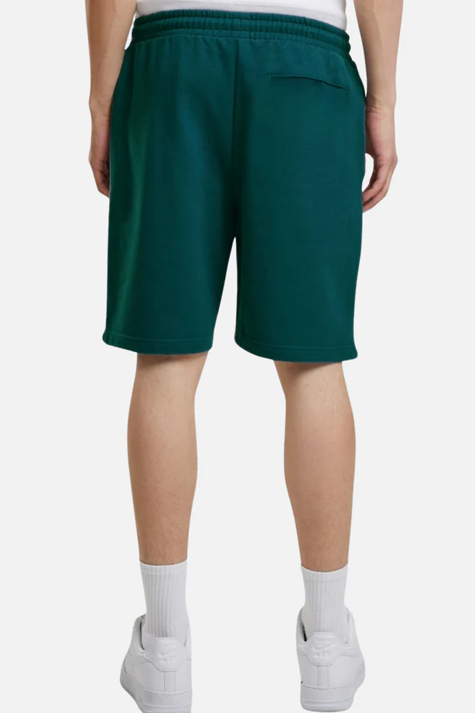 Basic Shorts