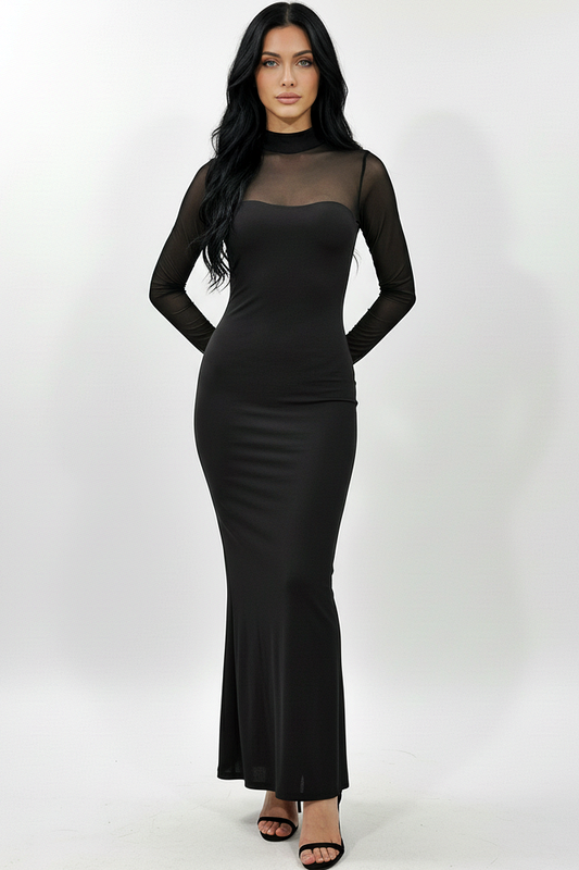 Mesh Long Sleeve Dress